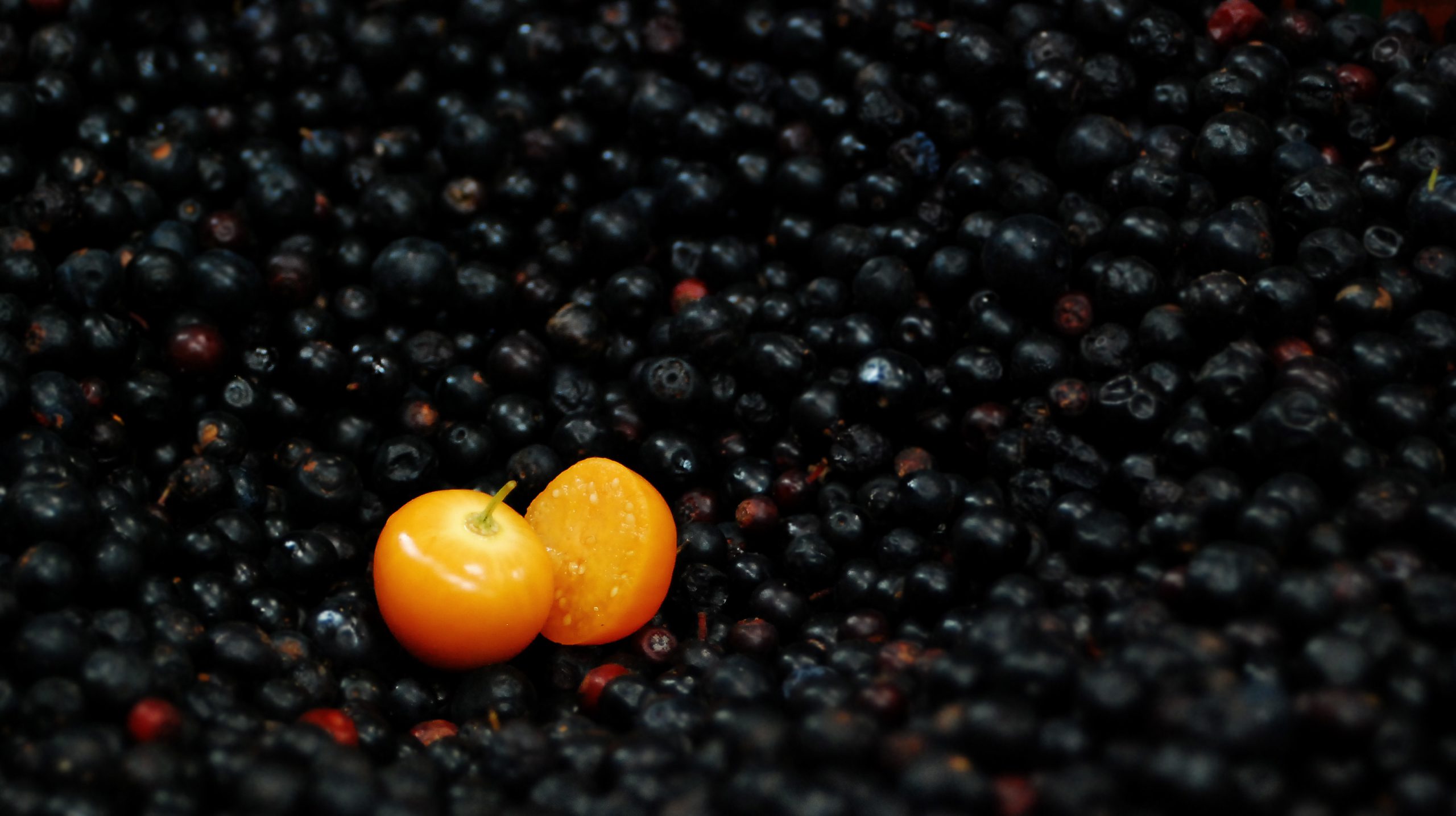 Algo inolvidable de Colombia: las frutas